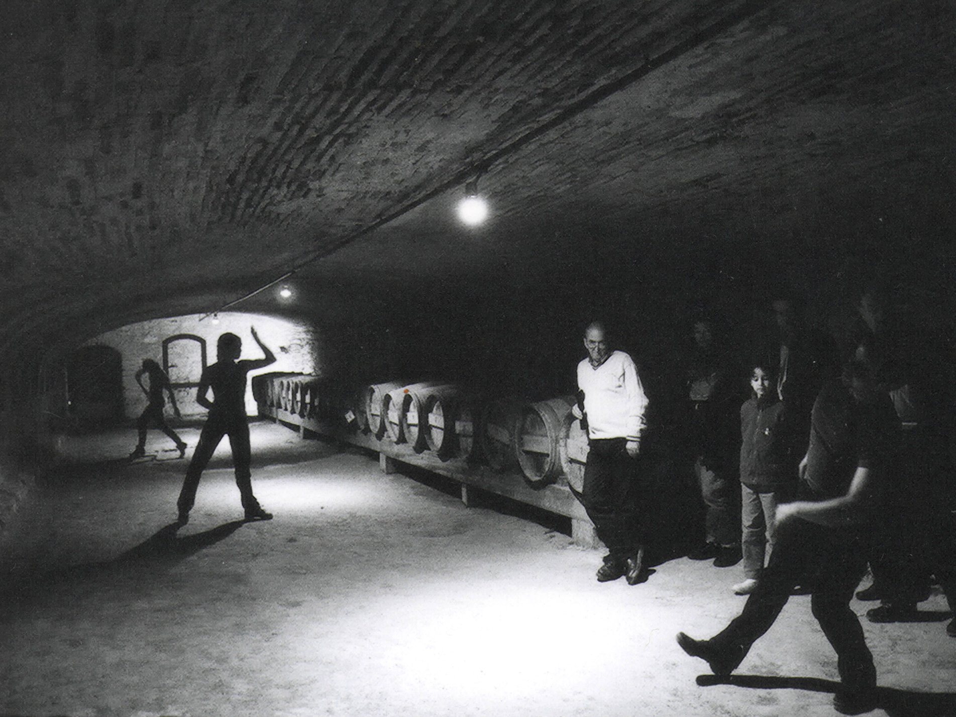 Ni chair ni pierre · Brigitte Dumez