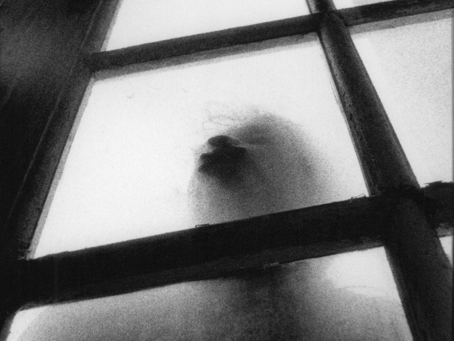 « Vocifëre et délitëre », Brigitte Dumez